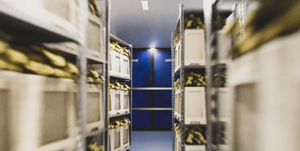 Clever Panel and Closed-Cell Foam Technologies help increase profit margins in Cold Chain